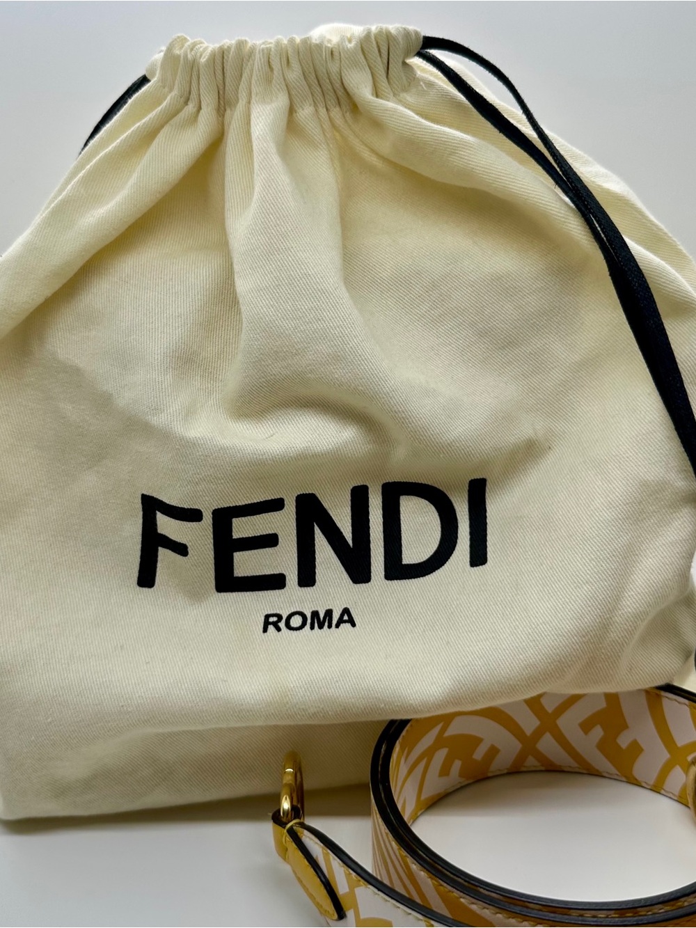 FENDI X SARAH COLEMAN Vertigo Peekaboo With Strap and Rain Cover - Picture 16 of 16